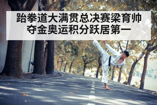 跆拳道大满贯总决赛梁育帅夺金奥运积分跃居第一