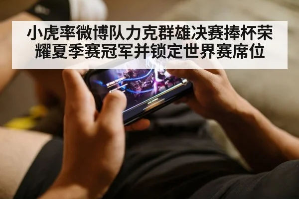 小虎率微博队力克群雄决赛捧杯荣耀夏季赛冠军并锁定世界赛席位